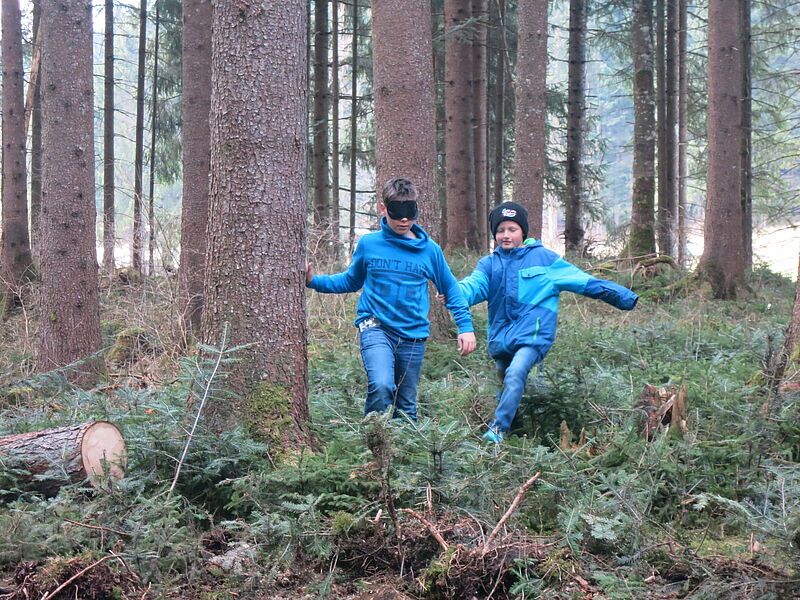Zwei Buben gehen Hand an Hand durch den Wald. Der eine hat eine Augenbinde auf und muss sich auf den sehenden verlassen. Am Boden finden sich sehr viele junge Bäumchen.
