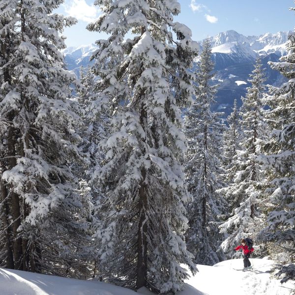 Sicherheit bei Skitouren: Österreich Werbung, Bundesforste und Alpenverein rufen zu Vorsicht, Umsicht und Rücksicht auf