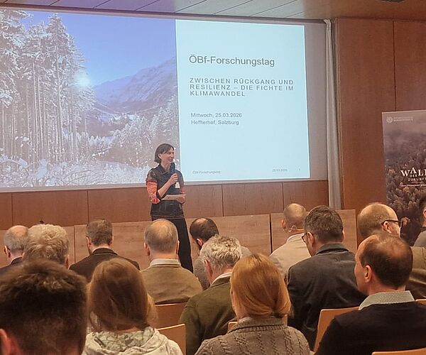 Nachlese zum ÖBf-Forschungstag 2026 „Zwischen Rückgang und Resilienz: Die Fichte im Klimawandel.“