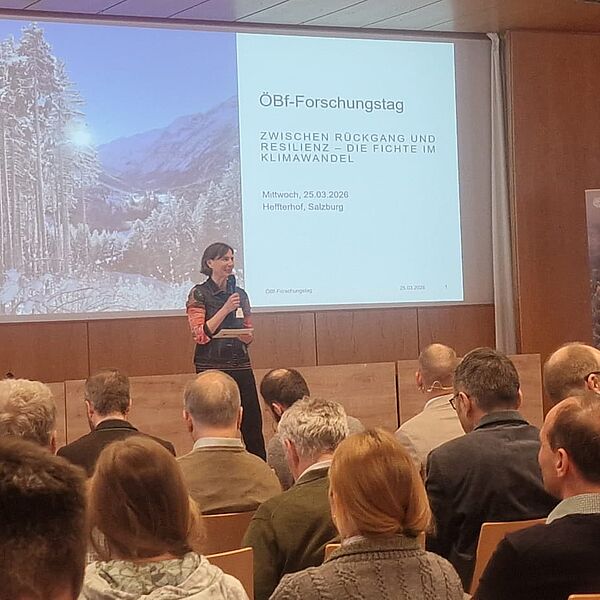 Nachlese zum ÖBf-Forschungstag 2026 „Zwischen Rückgang und Resilienz: Die Fichte im Klimawandel.“