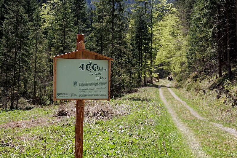 Rückblick auf unsere Biodiversitäts-Initiative "100 Jahre - 100 Hektar"