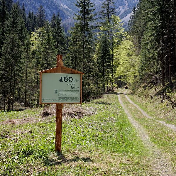 Rückblick auf unsere Biodiversitäts-Initiative "100 Jahre - 100 Hektar"