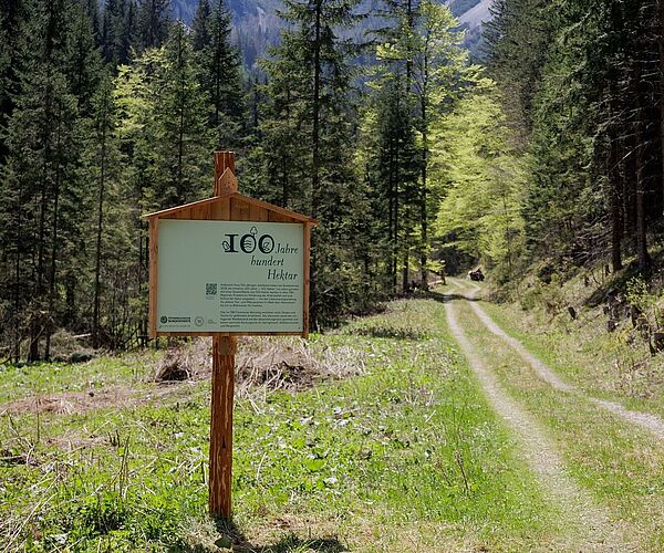 Rückblick auf unsere Biodiversitäts-Initiative "100 Jahre - 100 Hektar"