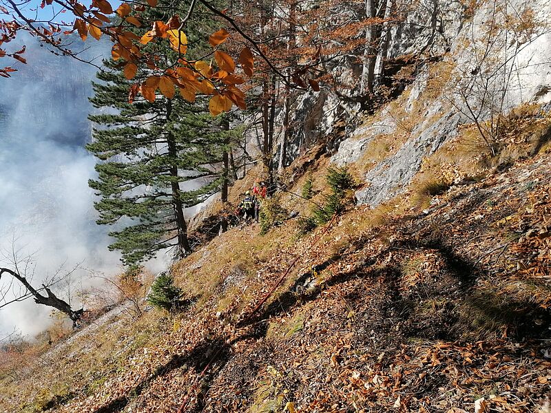 Von Waldbrand in Mitleidenschaft gezogene Fläche (c) ÖBf/W. Riener Von Waldbrand in Mitleidenschaft gezogene Fläche (c) ÖBf/W. Riener