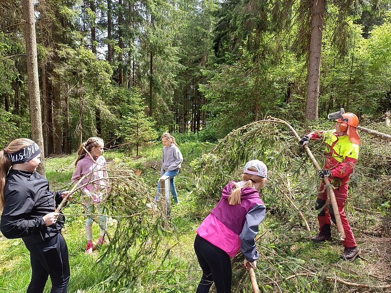ÖBf-Forstfacharbeiter gaben den Schüler*innen Einblicke in die Praxis der Holzernte (c) Guggenberger-Zobl