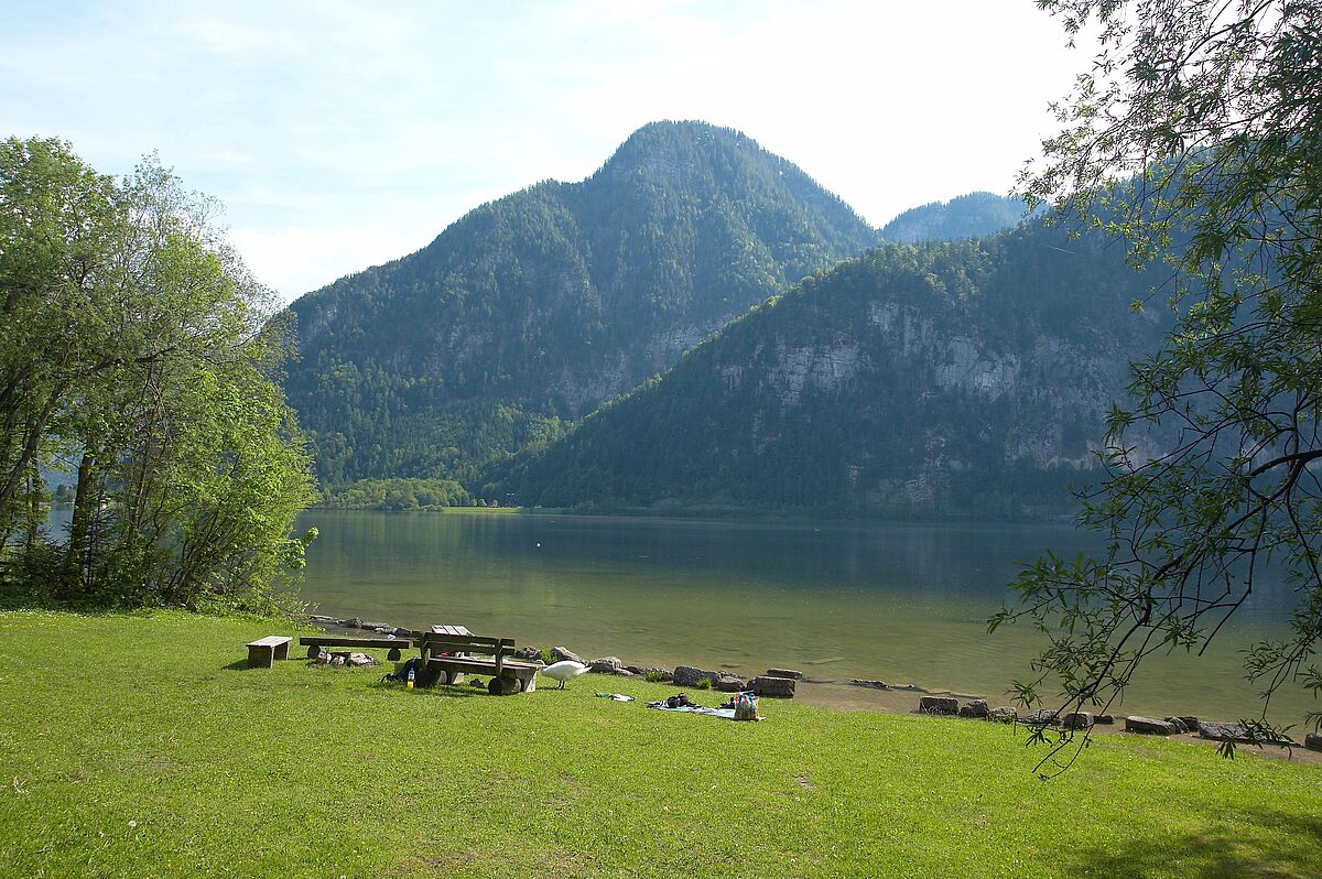 Naturbadeplatz Obersee am Hallstättersee (c) ÖBf/W.Hauer Naturbadeplatz Obersee am Hallstättersee (c) ÖBf/W.Hauer