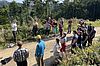 Wald der Zukunft Führung, ÖBf-Archiv/Social Hearts