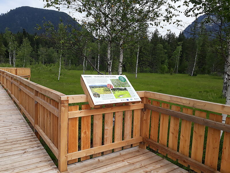 Ein Teil einer Plattform mit Steg aus Holz in einem Moor ist zu sehen. Zudem wurde eine Informationstafel am geländer montiert.