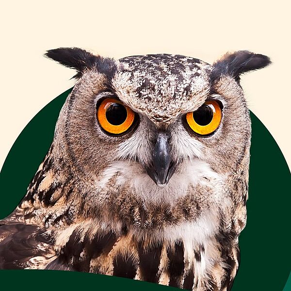 Bundesforste bei der Messe "Hohe Jagd & Fischerei 2026"