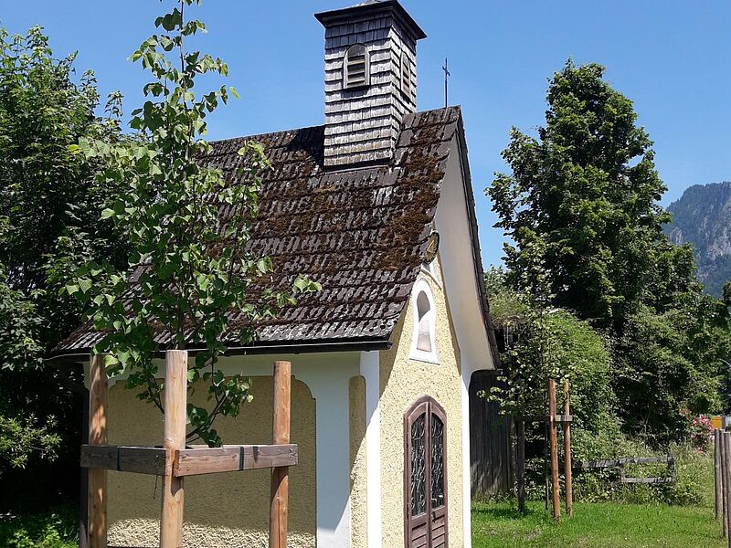 Eine der beiden neu gepflanzten Linden bei der Tonnerlhauskapelle © ÖBf