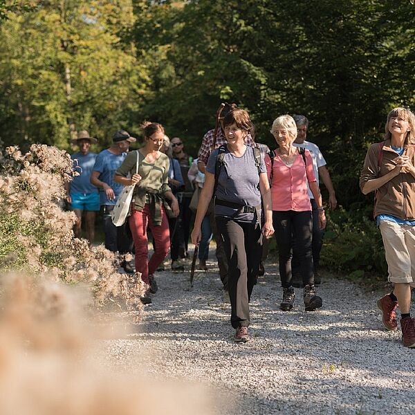 Kostenlose Führungen in den Wald der Zukunft