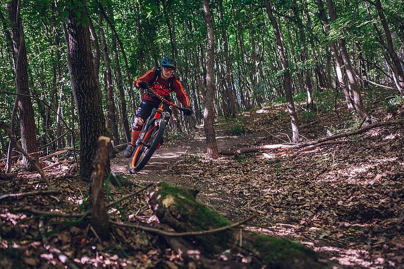 MTB Wienerwald (c) Markus MTB Wienerwald