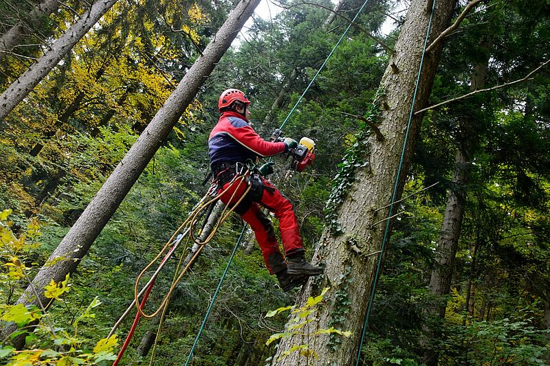 ÖBf-Archiv/W. Simlinger