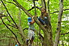 Zwei Kinder klettern im Baum
