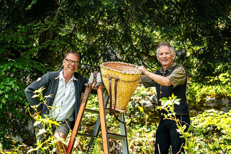 Braumeister Axel Kiesbye und Revierleiter Thomas Kranabitl beim Ernten der frischen Tannentriebe im Ausseer Mischwald (c) ÖBf/Roast Media