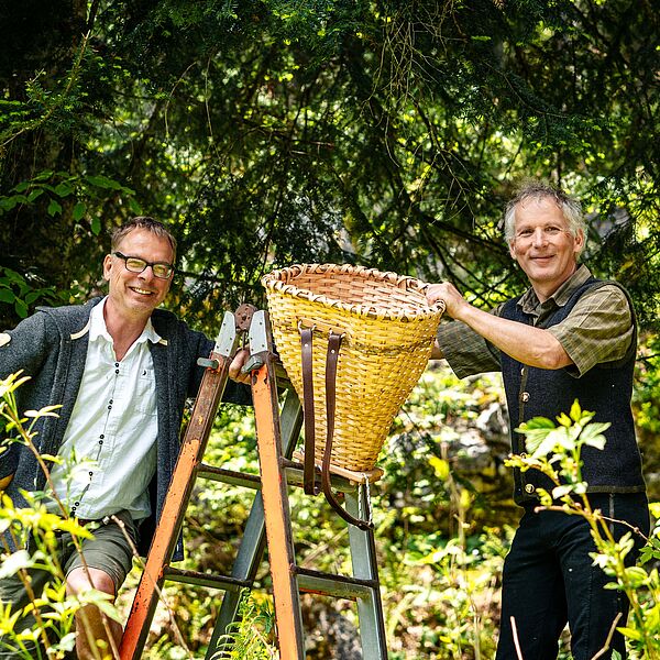 Der Geschmack des Ausseer Mischwaldes: Waldbier-Edition 2023 mit Tanne und Vogelbeere