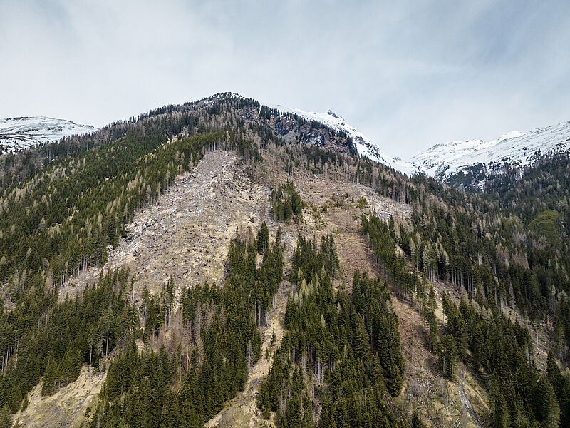 Schadflächen im Bereich Mallnitz im ÖBf-Forstrevier Obervellach (Kärnten) (c) ÖBf/G. Perauer