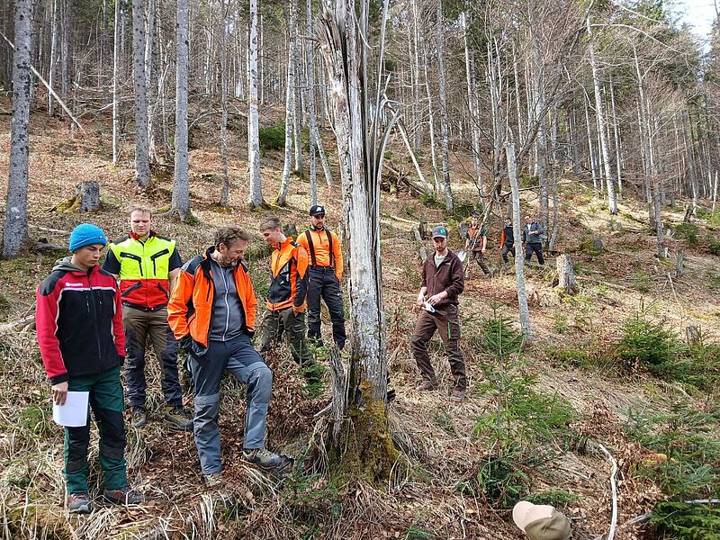 Wald-Exkursion (c) BaySF