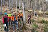 Wald-Exkursion (c) BaySF