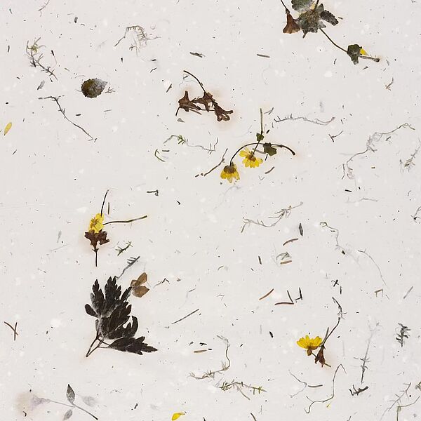 WALD Kalender April 2026