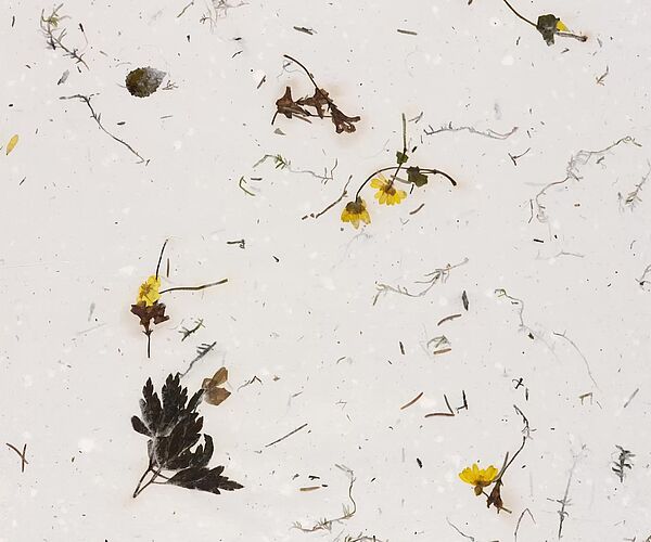 WALD Kalender April 2026