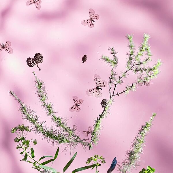 WALD Kalender Juli 2023