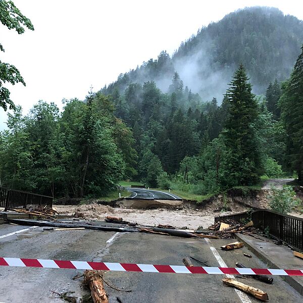 Waldbilanz 2019: Klimawandel kostet Bundesforste über 40 Millionen Euro