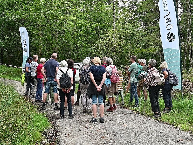Waldführung am Heuberg bei Koppl (c) Harald Kienzl/KEM