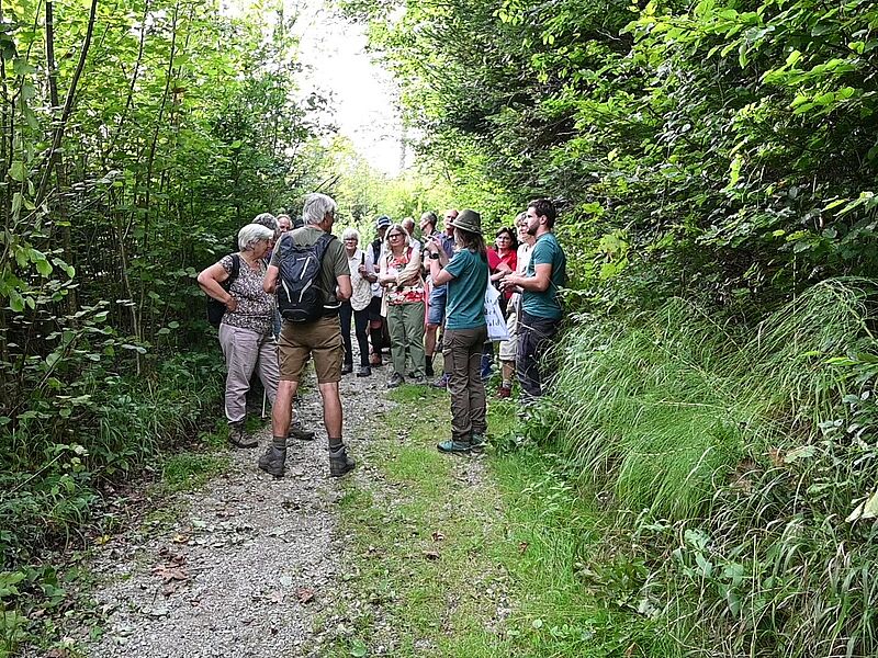 Waldführung am Heuberg bei Koppl (c) Harald Kienzl/KEM