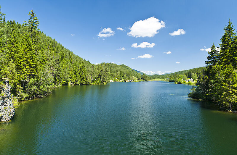 Blick über den blauen See umgeben von Wäldern, strahlender Sonnenschein.