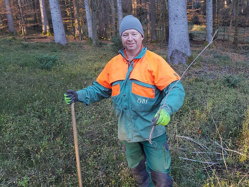 Forstfacharbeiter Alfred Hellermann mit junger Eiche (c)ÖBf/M. Berger
