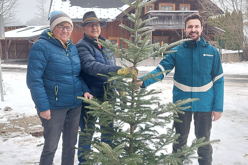 Christbäume für Pro Juventute Salzburg 