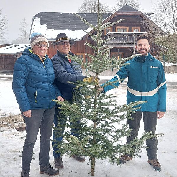 Christbäume für Pro Juventute Salzburg 