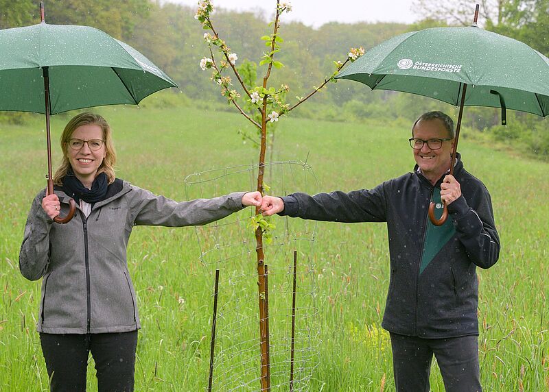Ökologie und Ökonomie gehen Hand in Hand: Klimaschutzministerin Leonore Gewessler und Bundesforste-Vorstand Rudolf Freidhager beim Lokalaugenschein im Wienerwald (c) ÖBf-Archiv/F. Helmrich