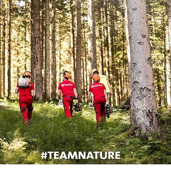 Spannende Jobmöglichkeiten im #teamnature