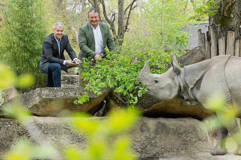v.l.n.r. ÖBf-Vorstand Andreas Gruber und Tiergartendirektor Stephan Hering-Hagenbeck bei der Fütterung der Panzernashörner (c) Tiergarten Schönbrunn/D. Zupanc