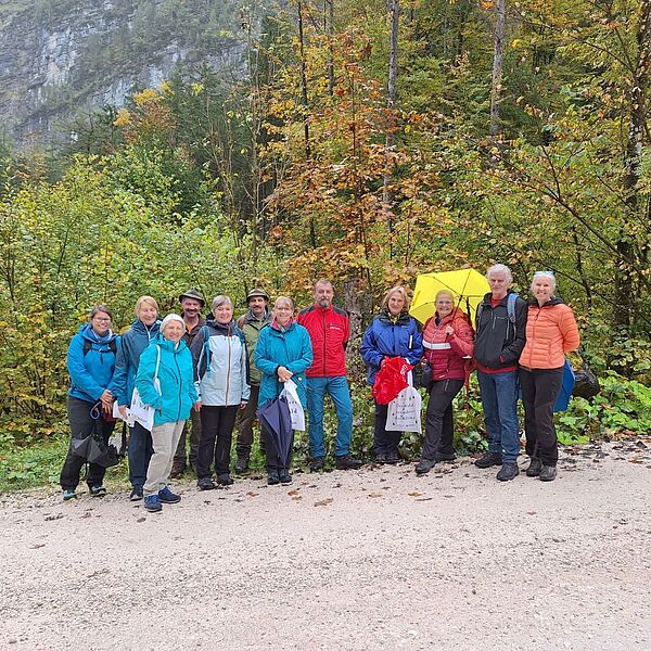 Einblicke in den Wald der Zukunft bei Hallstatt