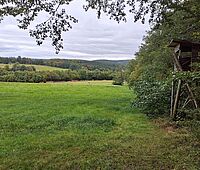 Forstbetrieb Wienerwald - JR Dürrwien West