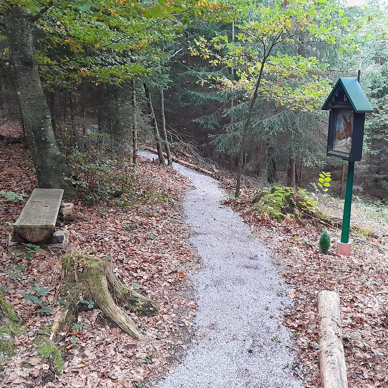 Der Kreuzweg ist dank der Arbeiten wieder bequem passierbar (c) ÖBf