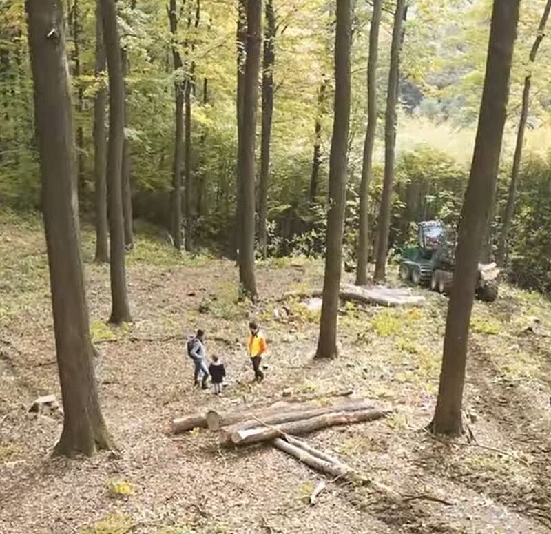 Zum Ursprung der Feuchttücher (c) Lenzing AG, Veocel