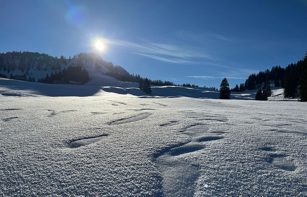 Winterlandschaft im Steyrtal (c) ÖBf/T. Klausberger Winterlandschaft im Steyrtal (c) ÖBf/T. Klausberger