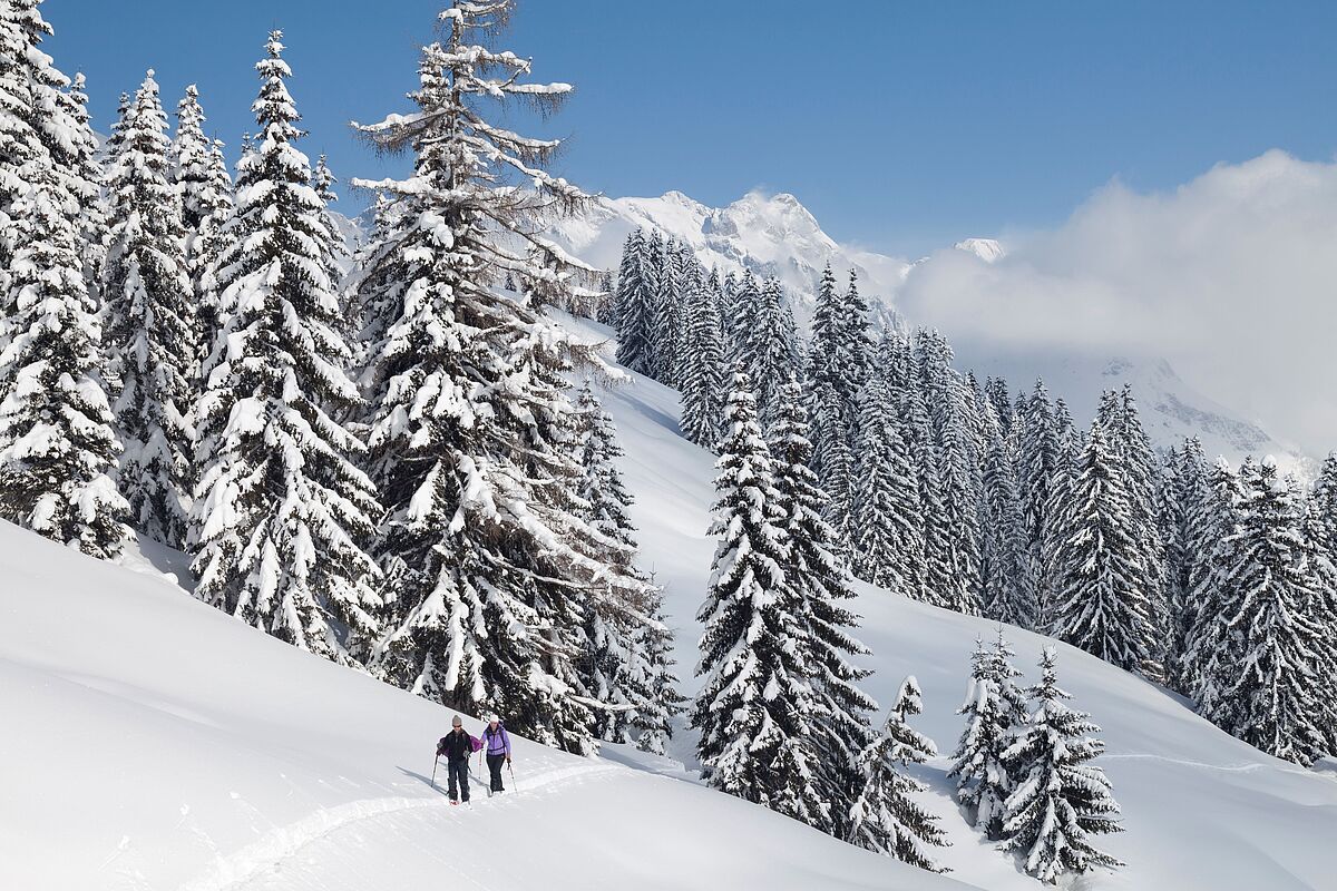 Langläufer (c) ÖBf/U. Grinzinger Langläufer (c) ÖBf/U. Grinzinger