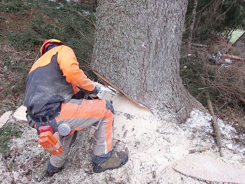 Kursteilnehmer bei einem der Praxismodule (c) Alexander Zobl