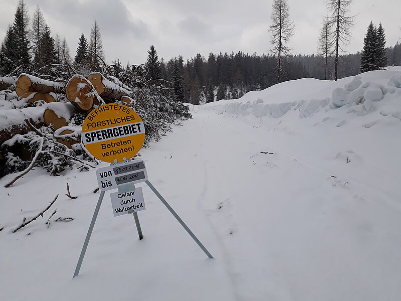 Schild forstliches Sperrgebiet vor Holzstapel Boden ist mit Schnee bedeckt