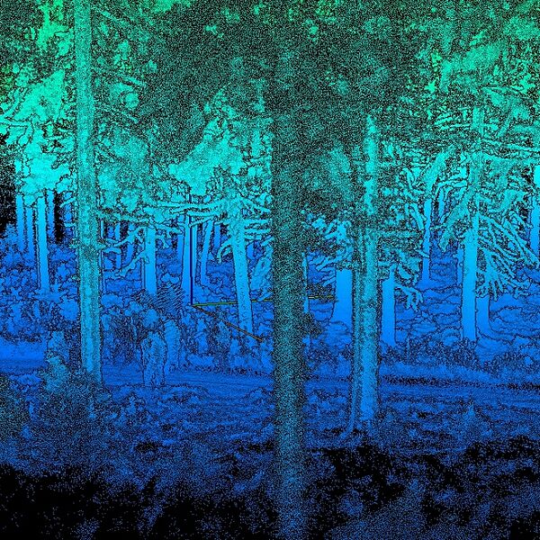 Digitale Waldinventur: Forschungsinitiative testet Einsatz von künstlicher Intelligenz im Bundesforste-Wald