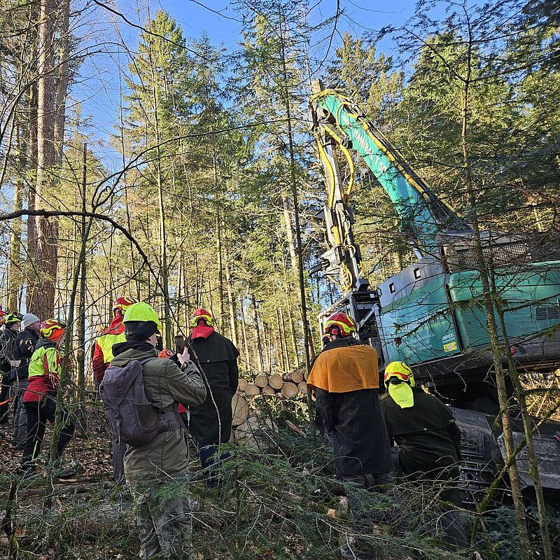 Schonende Holzernte mit dem Baumhalteharvester (c) Florian Berger/Vieghofer