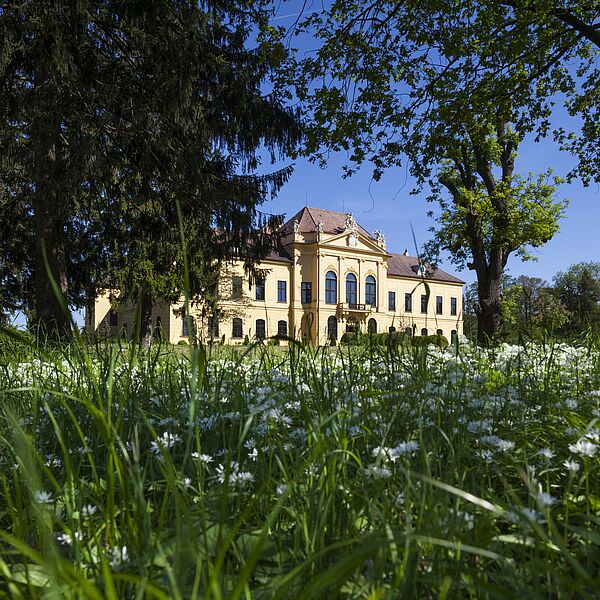 Schloss Eckartsau: Angebotsreigen aus Natur, Kultur und Geschichte in der Saison 2024