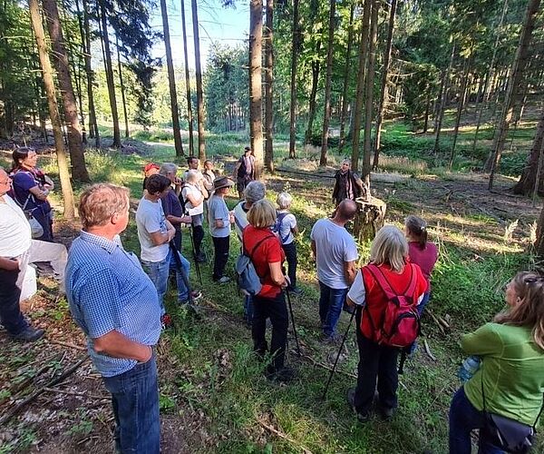 Kostenlose Führungen in den Wald der Zukunft Kostenlose Führungen in den Wald der Zukunft