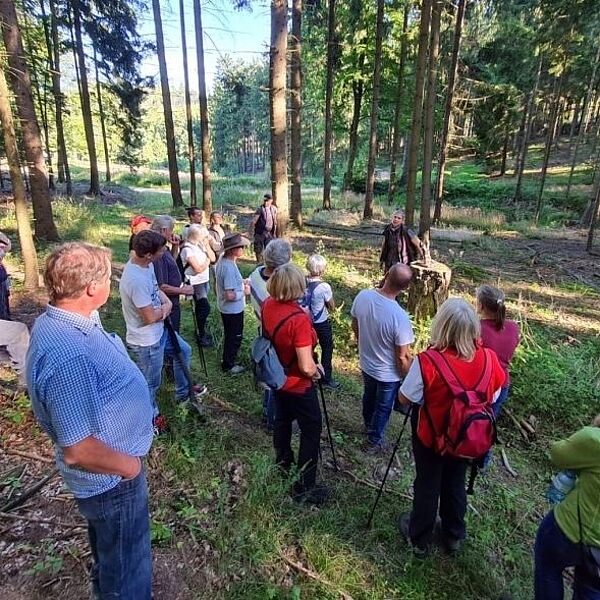 Kostenlose Führungen in den Wald der Zukunft