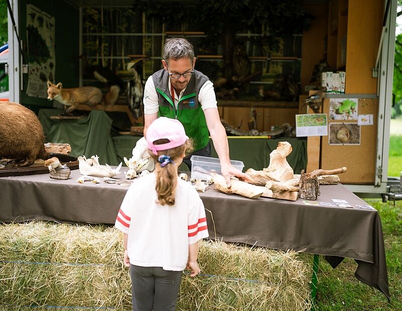 Wild.Live! Mobil (c) ÖBf